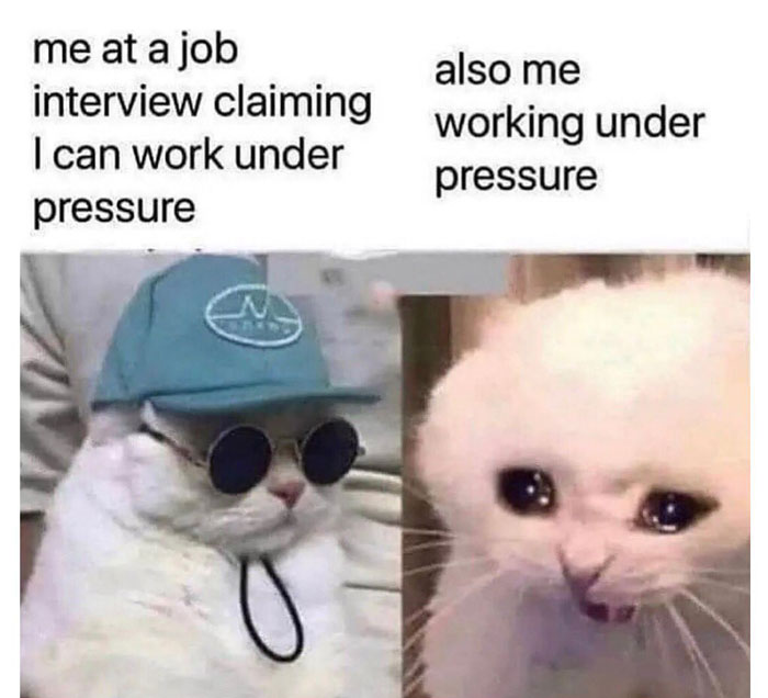 Funny-Sarcastic-Memes