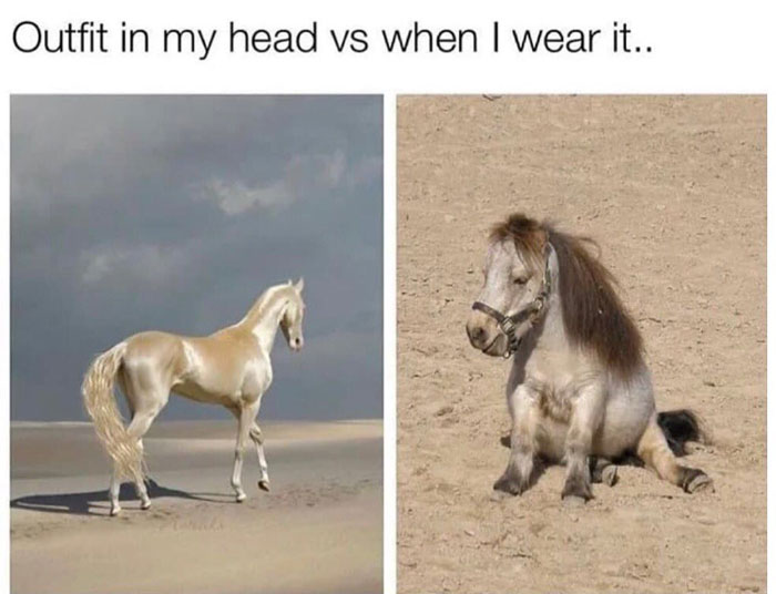 Two horses in a meme, contrasting a sleek white horse with a tired pony. Relatable humor from Sarcasm Only Instagram.