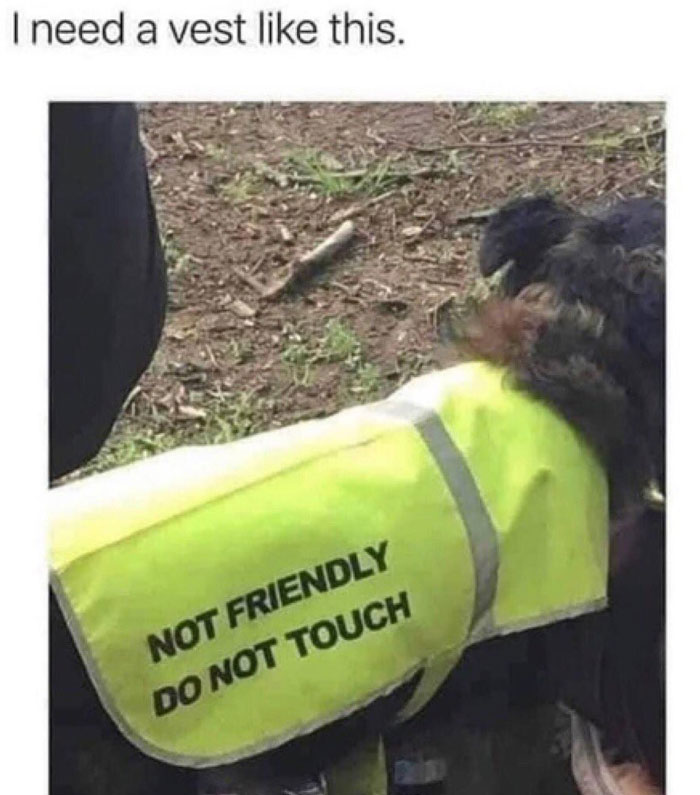 Dog wearing a yellow vest labeled "Not Friendly Do Not Touch," from Sarcasm Only memes.