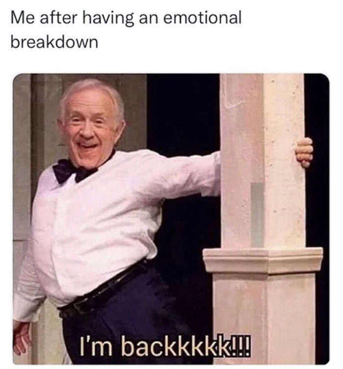 Funny-Sarcastic-Memes