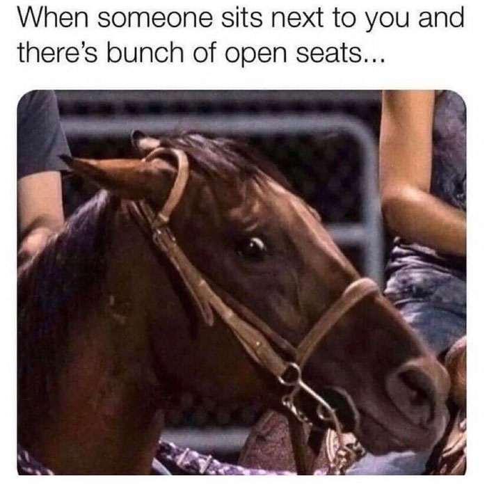 Funny-Sarcastic-Memes