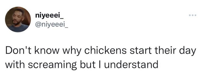Relatable meme from 'Sarcasm Only' Instagram about understanding why chickens start their day screaming.