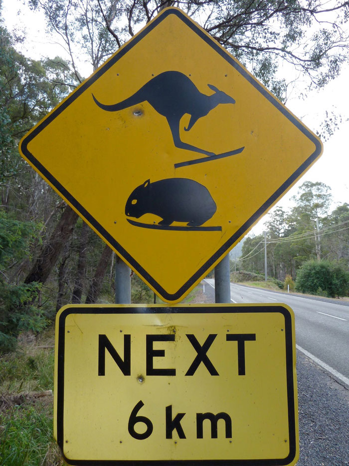 Funny-Weird-Sign-Pics