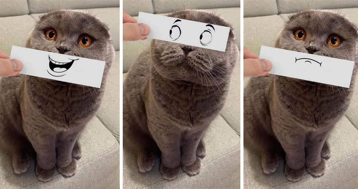 50 Wholesome Pics To Heal Your Soul That Are Heckin’ Awesome