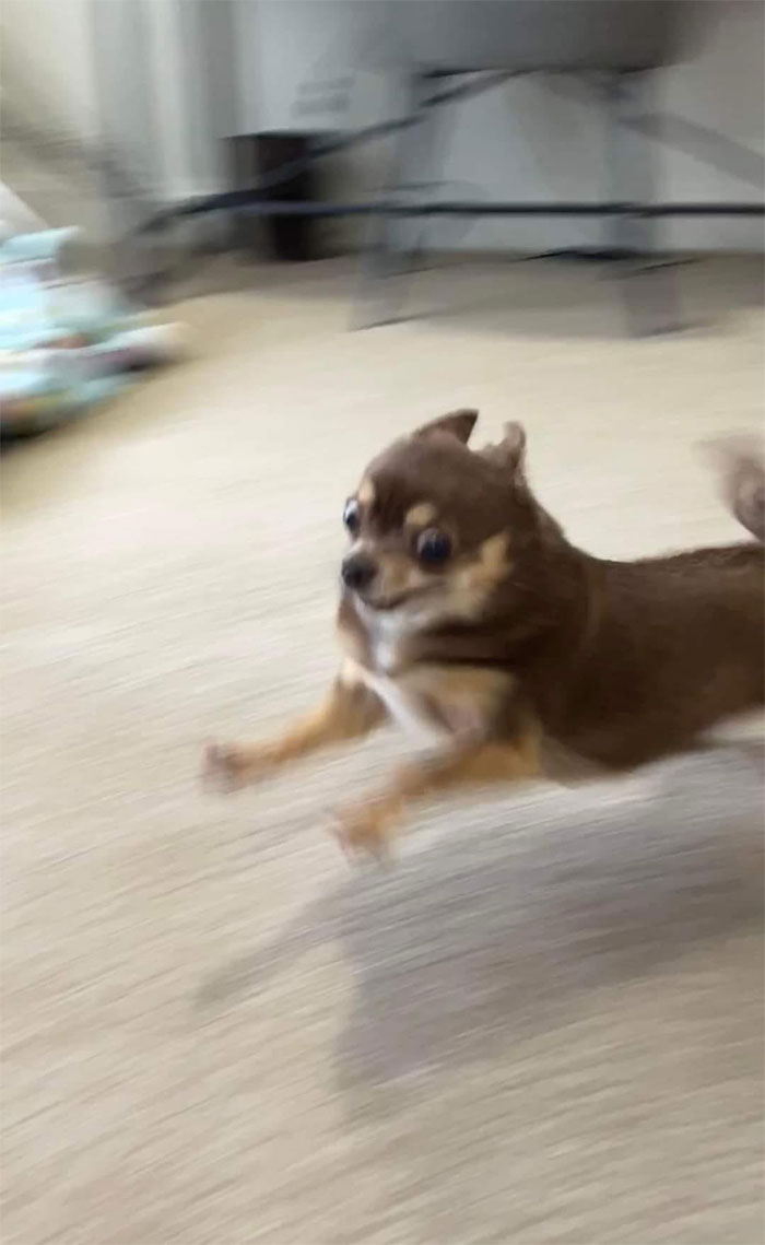 50 Wholesome Pics To Heal Your Soul That Are Heckin’ Awesome