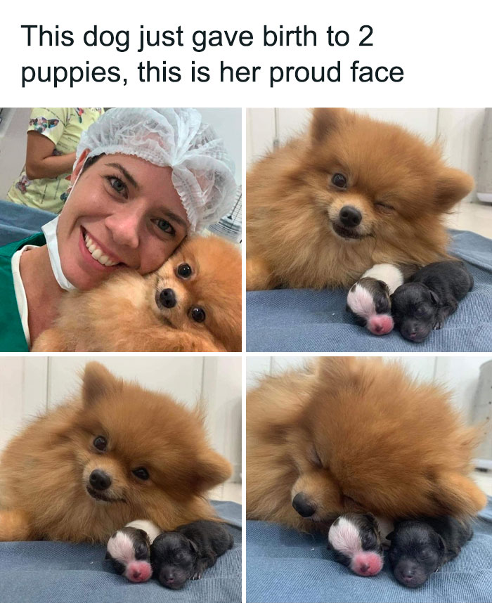 Hecking-Wholesome