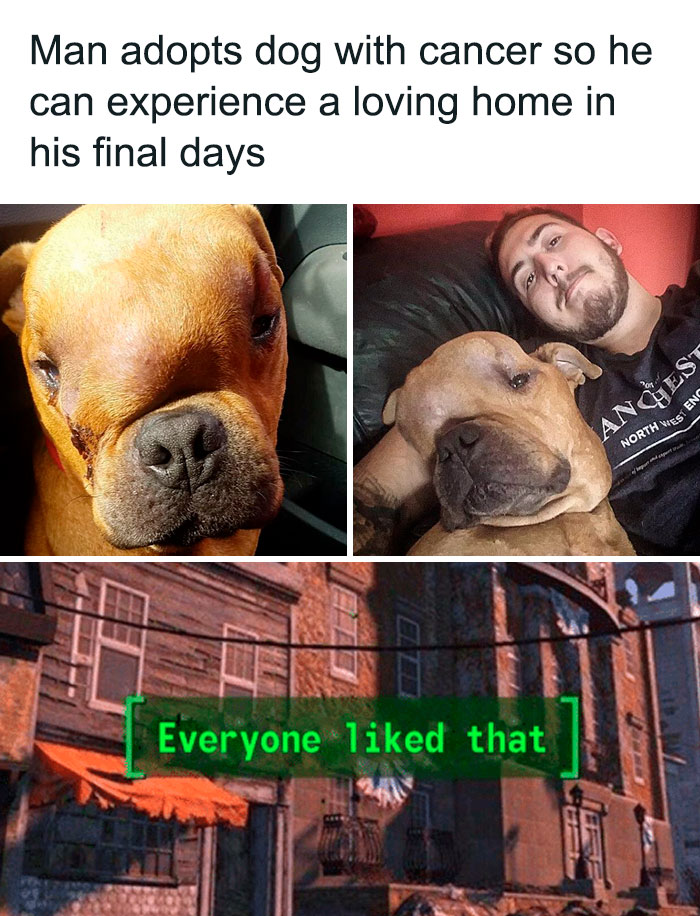 Hecking-Wholesome