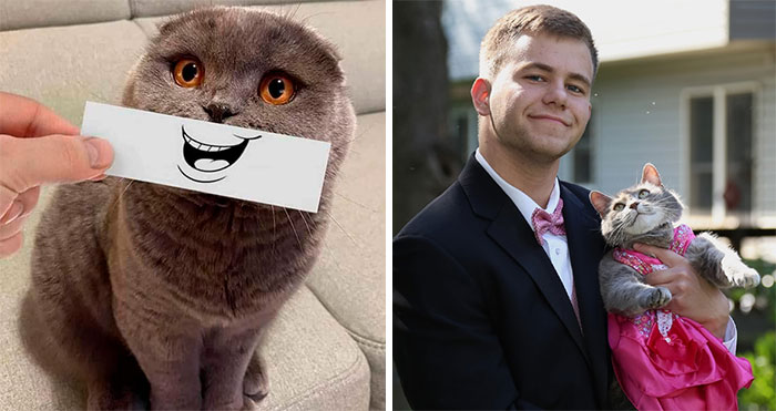 50 Wholesome Pics To Heal Your Soul That Are Heckin’ Awesome