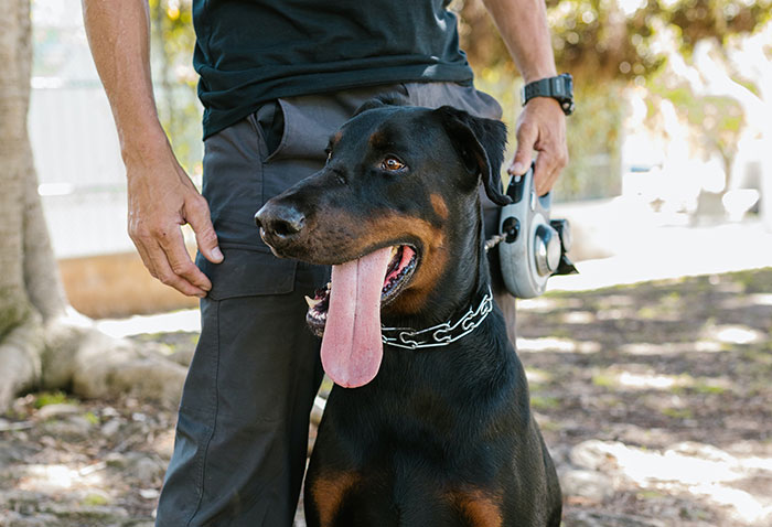 Recruiters Reveal How Job Candidates Instantly Lost Any Chances Of Getting The Job (30 Answers)