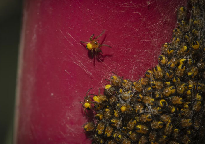 "No me pagan lo suficiente para aguantar esto": 20 personas comparten el momento en que comprendieron que estaban siendo explotados