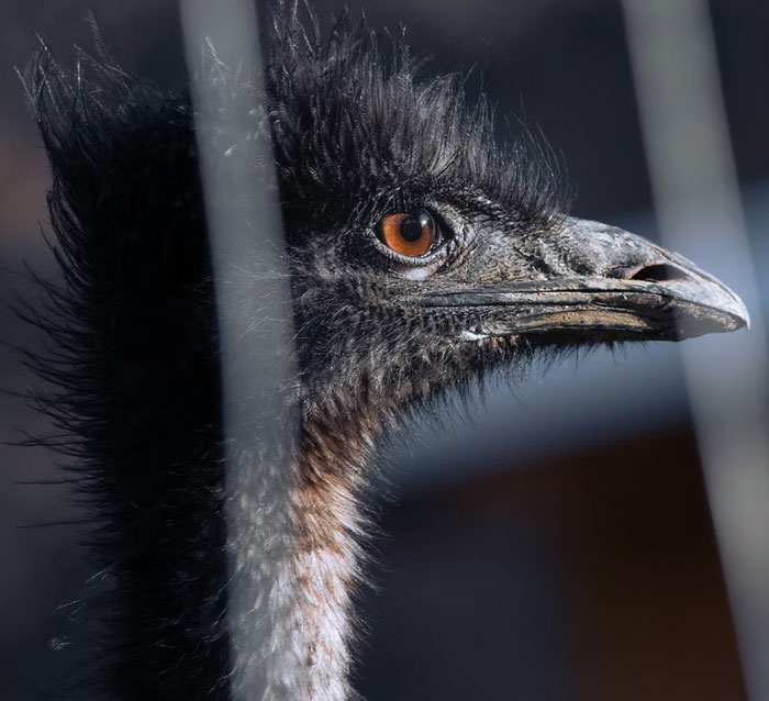 "No me pagan lo suficiente para aguantar esto": 20 personas comparten el momento en que comprendieron que estaban siendo explotados