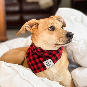 morganharbridge avatar