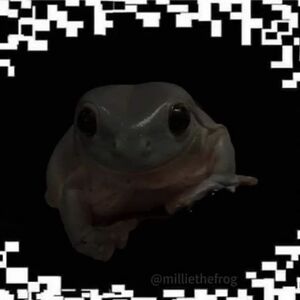 olyviathomas18 avatar