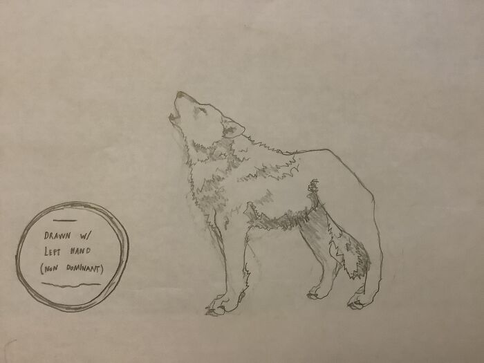 I Am Really Proud Of This. I Think, Myself, I Am Getting Very Well At Left Hand Drawing