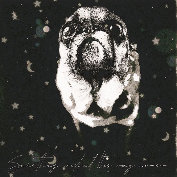 I Give You The True Puguin Looking For Her Gaseous Match