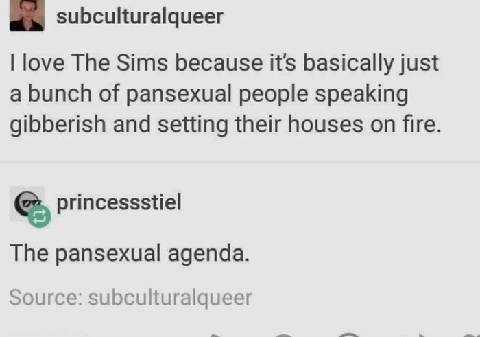 A funny LGBTQ+ meme comparing The Sims to a pansexual lifestyle, highlighting humor in gaming scenarios.