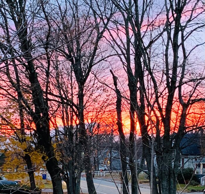 Late Autumn Massachusetts USA