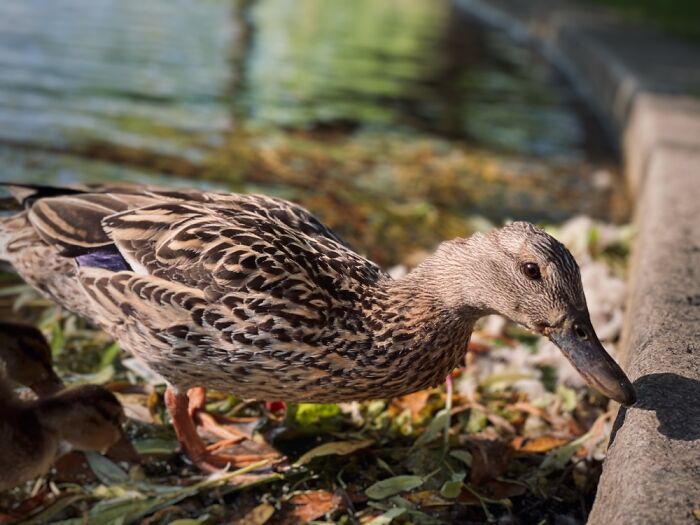 Here Are Some Pictures Of My Summer Vacation (26 Pics)