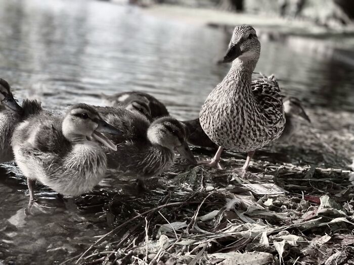 Here Are Some Pictures Of My Summer Vacation (26 Pics)