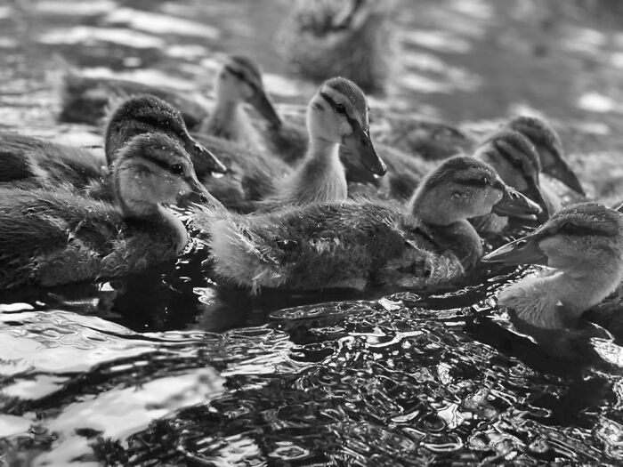 Here Are Some Pictures Of My Summer Vacation (26 Pics)