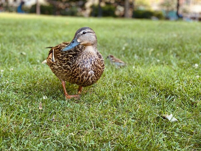 Here Are Some Pictures Of My Summer Vacation (26 Pics)