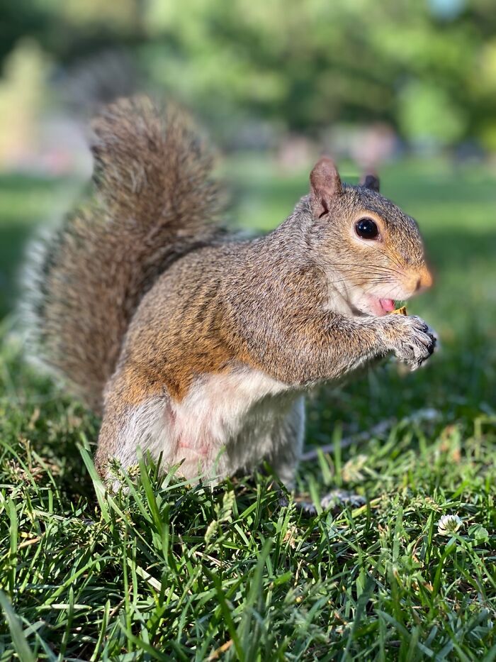 Here Are Some Pictures Of My Summer Vacation (26 Pics)