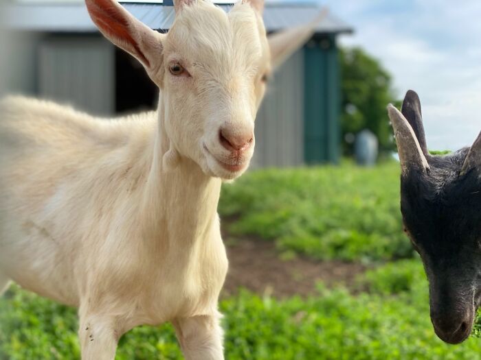 Here Are Some Pictures Of My Summer Vacation (26 Pics)