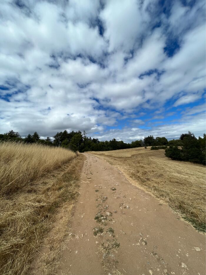 Pogonip, Santa Cruz, Ca