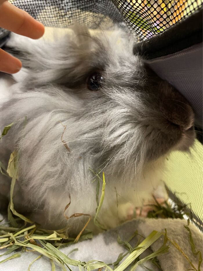 My Fighter! His Name Is Osacha!