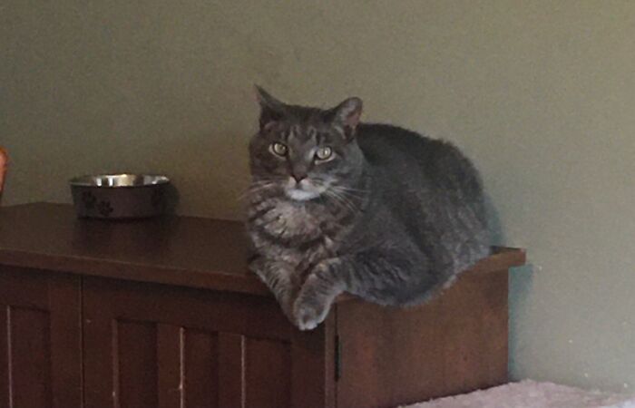 Handsome, Loving, And A Bit Of An A$$h@@!