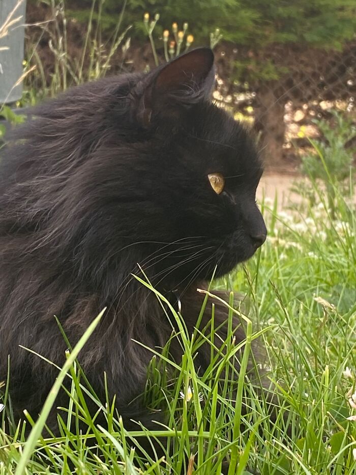 *stares Wistfully Into The Distance* Also, Zero Probably Going In Between The Ears 😂