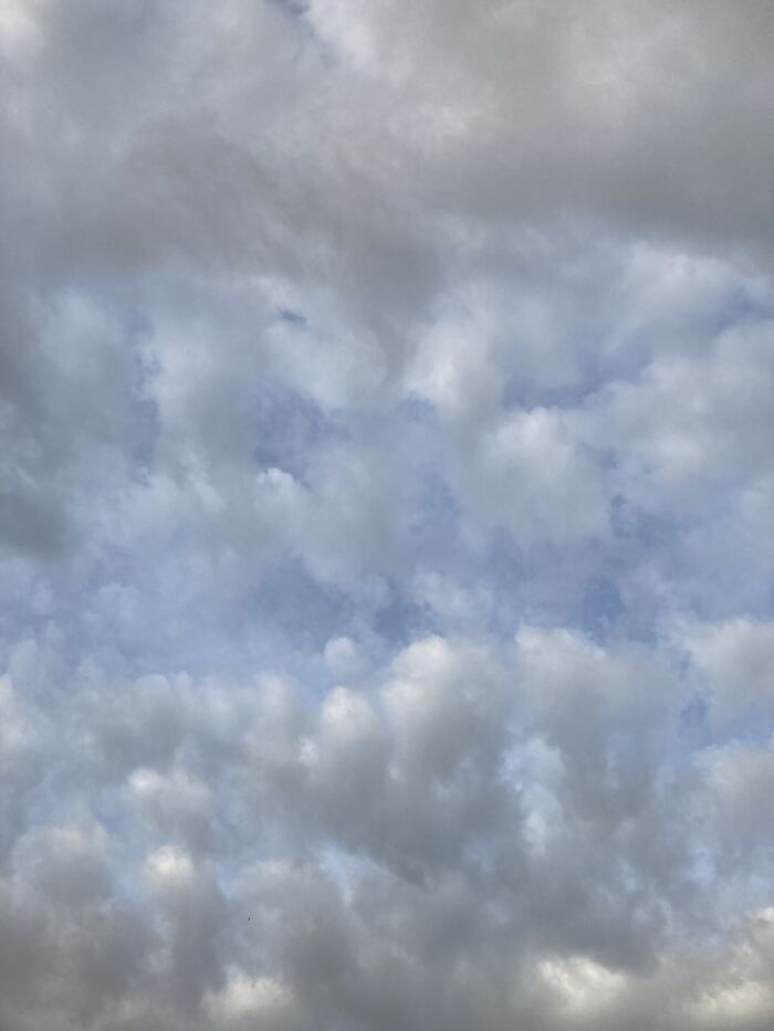 The Sky (I Was In A Plane)