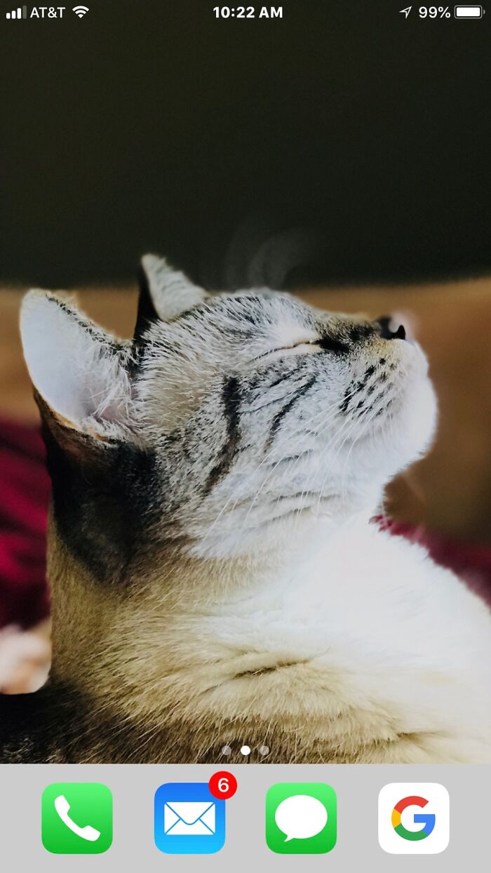 She’s Such A Model!