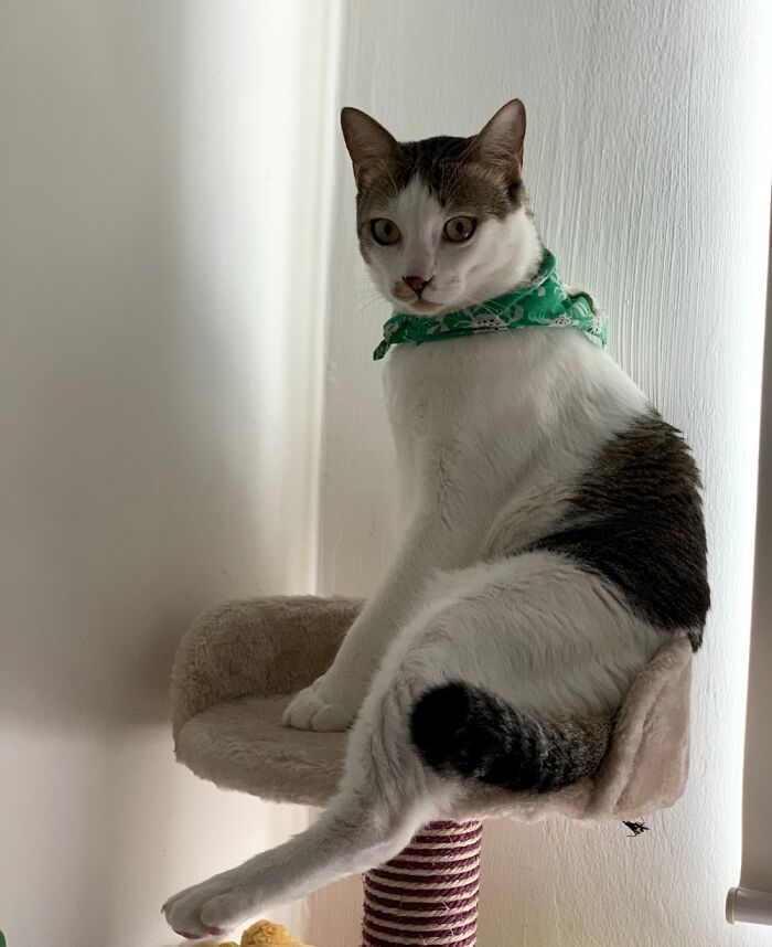 Look At My Long And Sexy Leg