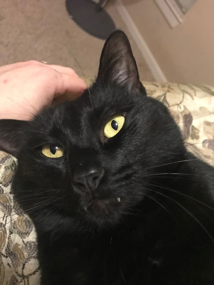 Yes They’re Real , And They’re Sharp , But I’m A Lover Not A Fighter