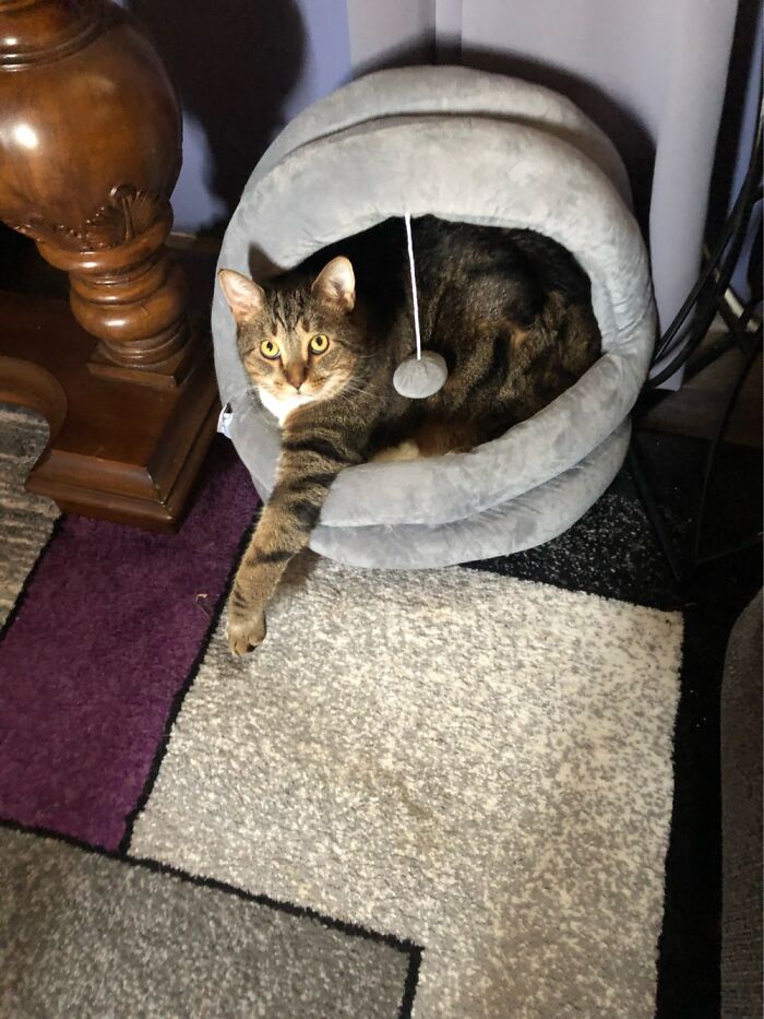 Better Angle? Felt Cute Might Delete But As Always (Sup?) Love Lenny