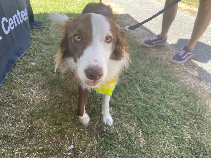 Greenville Nami Pride Fest 2022