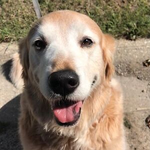 valerievalenta avatar