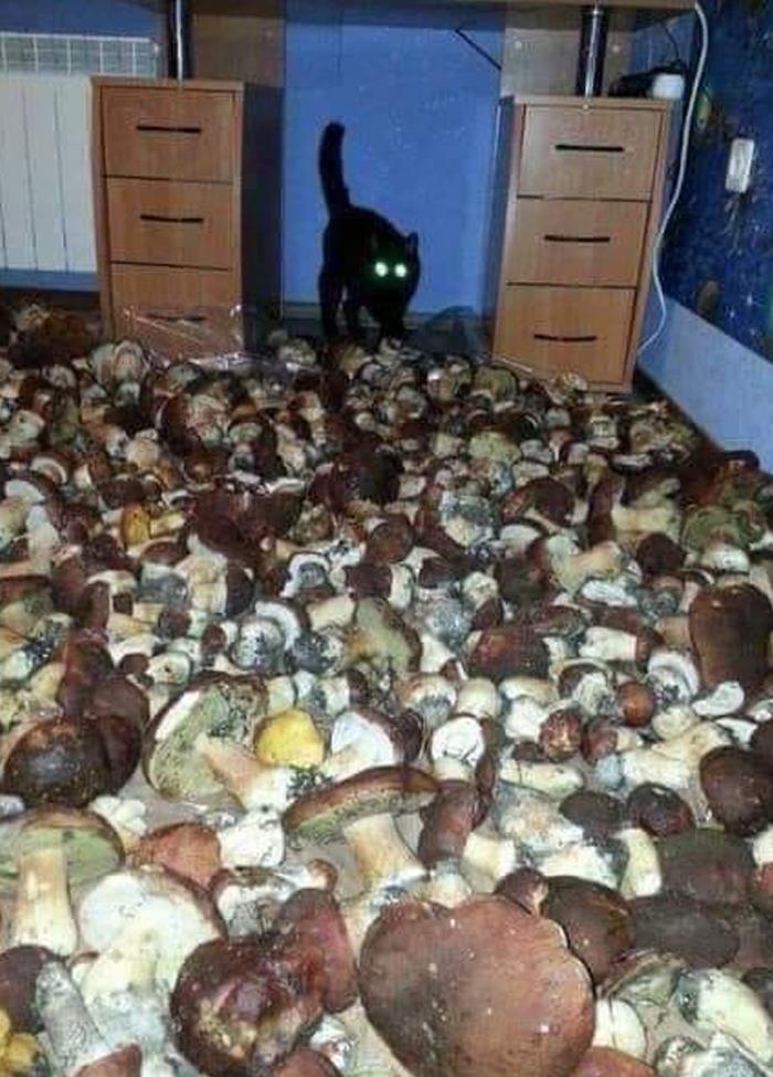 Images-With-A-Lot-Of-Stuff-Going-On