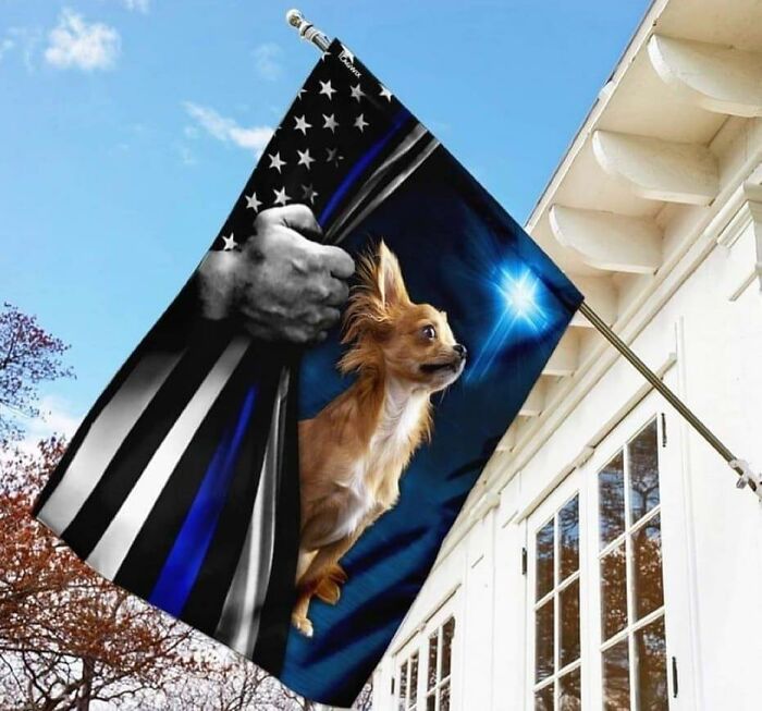 Images-With-A-Lot-Of-Stuff-Going-On