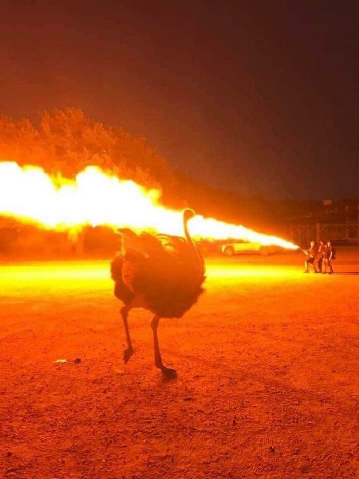 Images-With-A-Lot-Of-Stuff-Going-On