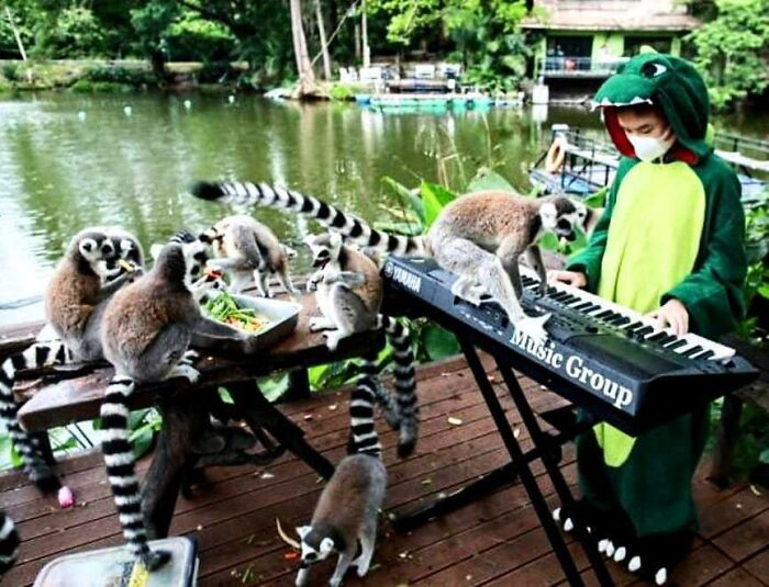 35 Funny “Images With A Lot Of Stuff Going On” That Get Weirder The Longer You Look At Them