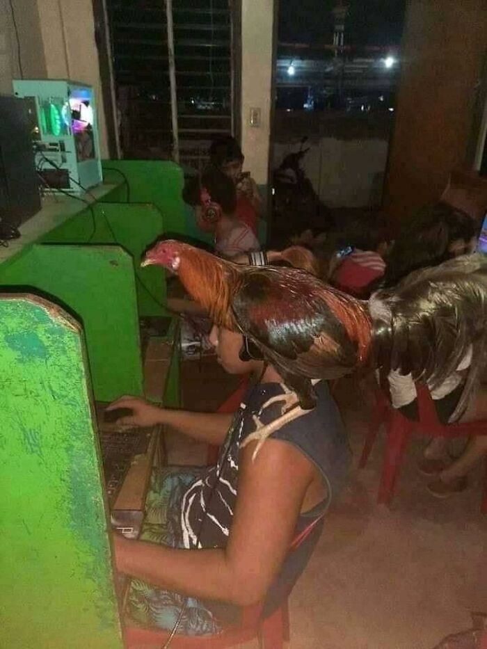 35 Funny “Images With A Lot Of Stuff Going On” That Get Weirder The Longer You Look At Them