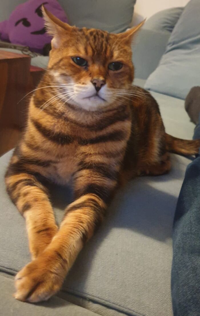 Distinguished Gentleman Looking For Classy Lady To Judge The World Together