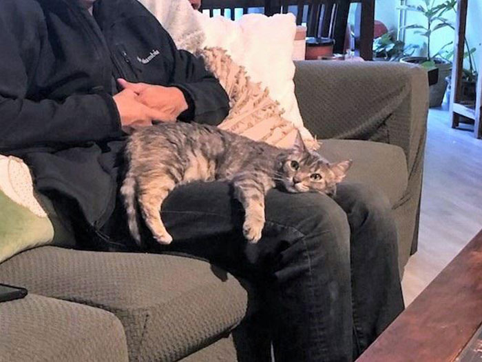 Hadn't Cat-Sat For 6 Months. Think She Missed Me A Little