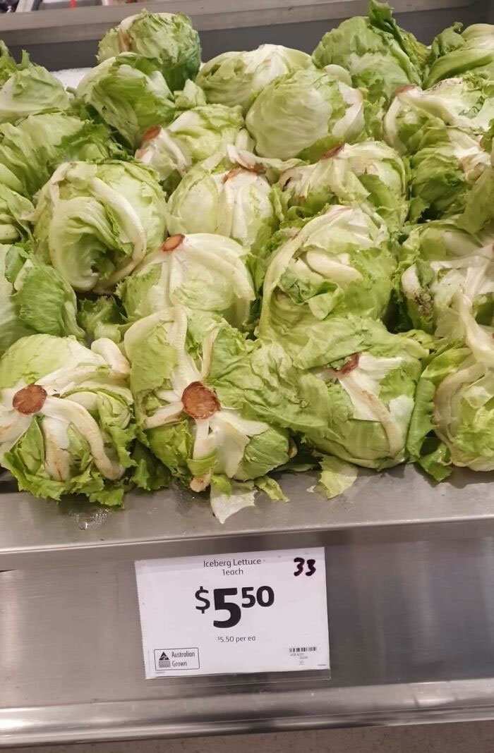 Each. You Read That Right