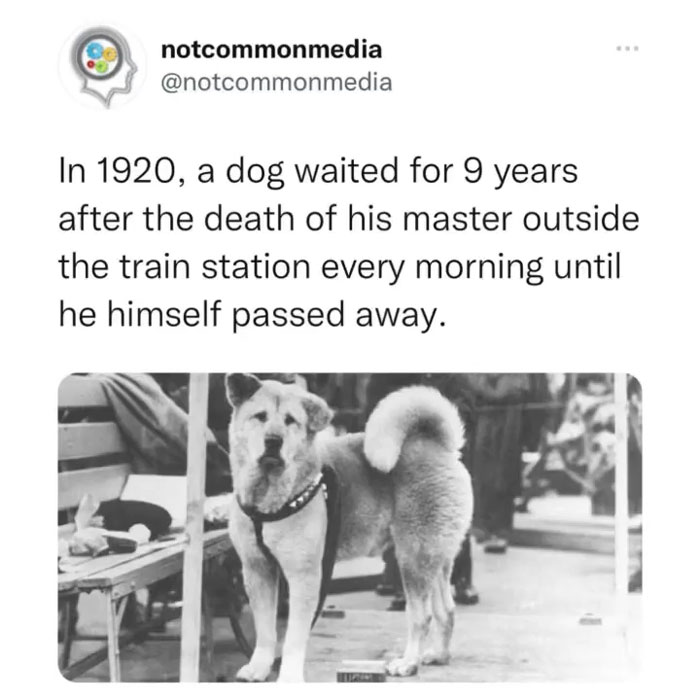 Interesting-Facts-Notcommonfacts