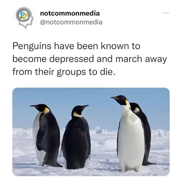 Interesting-Facts-Notcommonfacts