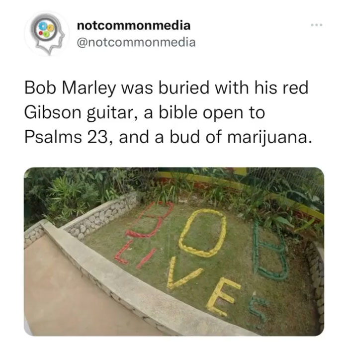 Interesting-Facts-Notcommonfacts