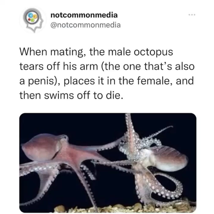 Interesting-Facts-Notcommonfacts